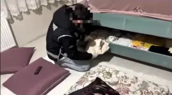 Ağrı'da kaçakçılık operasyonunda milyonluk telefon ve sigara ele geçirildi