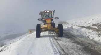 Ağrı'da kar nedeniyle kapanan köy yolları yapılan çalışmayla açıldı