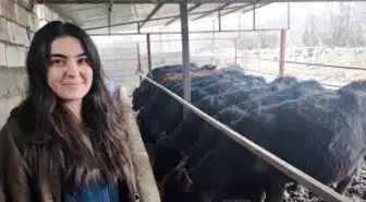 Atama beklerken hayvancılığa başladı