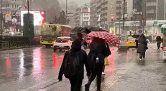 Bursalı çiftçilerin yağışlarla yüzü güldü