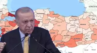 Cumhurbaşkanı Erdoğan 'Felaketi yaşıyoruz' demişti! TÜİK endişelendiren rakamları paylaştı