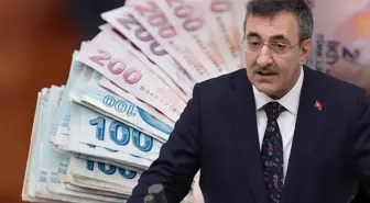 Cumhurbaşkanı Yardımcısı Yılmaz 'vatandaşlık maaşı' için tarih verdi