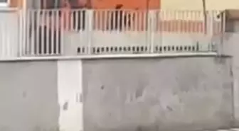 Eski sevgilisiyle konuşmak için geldiği okul önünde intihara kalkıştı