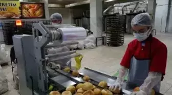 Fabrika gibi çalışan lisenin yıllık cirosu 1,5 milyon