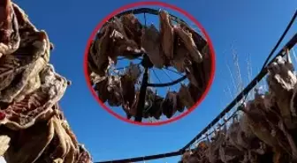 Talep patladı, köylü yetişemiyor! Ay sonunda yollara düşecek