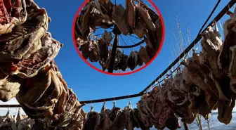 Talep patladı, köylü yetişemiyor! Ay sonunda yollara düşecek