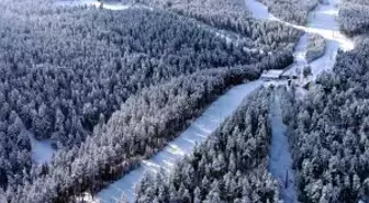 Kars'ta karla kaplanan sarıçam ormanları dronla görüntülendi