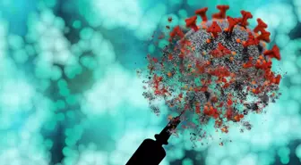 İngiltere'de 'Maymun Çiçeği' Virüsünün Yeni Bir Varyantı Tespit Edildi