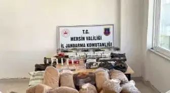 Silifke ve Bozyazı'da kaçak makaron dperasyonu: 2 gözaltı