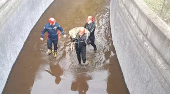 Su kanalına düşen karacayı, itfaiye kurtardı