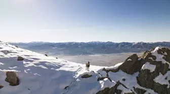 Tunceli doruklarında dağcıları ender görülen çengel boynuzlu dağ keçileri karşılıyor