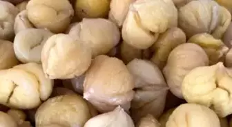 Türkiye'nin yüzde 33'ünü karşılayan Aydın Kestanesi, ihracata hazırlanıyor