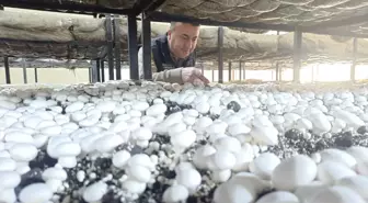 Beyşehir'den kısa kısa