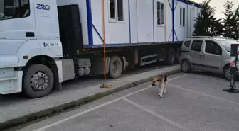 Enerji Firması, Depremde Evleri Yıkılan Aileye Verilen Konteynerleri Geri İstedi