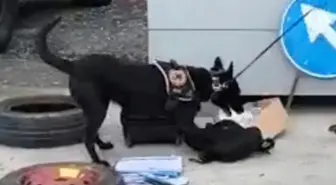 Erzincan'da 1 kilo kokain ele geçirildi