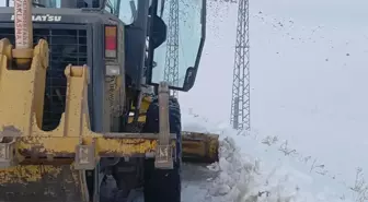 Erzurum ve Kars'ta kar yağışı nedeniyle 66 yerleşim yerinin yolu kapandı