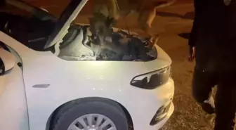 Kastamonu'da uyuşturucu operasyonu: 5 tutuklama