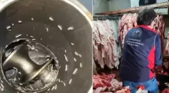 Mide bulandıran görüntüler! Etler küf içinde, makinelerde kurt var