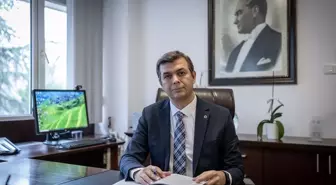 Okul öncesi eğitim, akran zorbalığını azaltmada 'kilit rol' oynayabilir