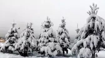 13 Aralık Cuma İstanbul'da hava nasıl olacak, kar yağışı var mı? Türkiye'de kar yağan yerler son durum!