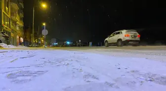 Ardahan merkezinde kar yağışı etkili oldu