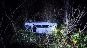 Artvin'de uçuruma devrilen otomobildeki 4 kişi yaralandı