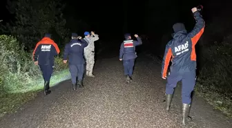 Bartın'da ormanda kaybolan yaşlı kadını bulmak için çalışma başlatıldı
