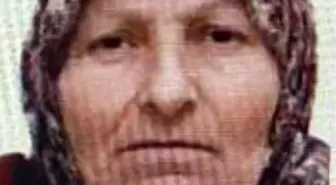 Bilecik'te kaybolan yaşlı kadını jandarma buldu