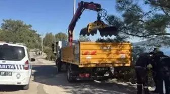 Bodrum'da ölü caretta caretta kıyıya vurdu