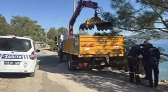 Bodrum'da ölü caretta caretta kıyıya vurdu