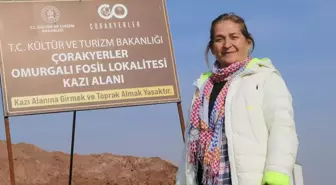 Çankırı'da zürafadan gergedana yüzlerce fosil bulunan alandan bu sezon 200 fosil çıkarıldı