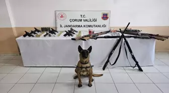 Çorum'da düğünlerde havaya ateş ettikleri belirlenen 11 kişi yakalandı