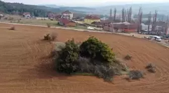 Dışardan bakınca basit bir çalılık içi ise adeta cennet! Asırlara meydan okuyor