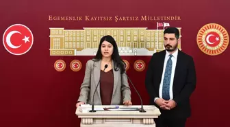 DEM Parti milletvekilleri, Mecliste basın toplantısı düzenledi