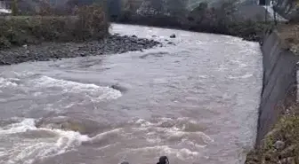 Giresun'da araç dereye uçtu: 2 ölü