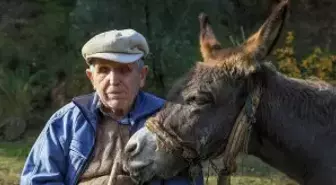 Görme engelli Raif dede yolunu 24 yıldır eşeği 'Magare' sayesinde buluyor