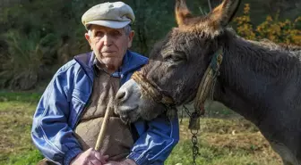 Görme engelli Raif dede yolunu 24 yıldır eşeği 'Magare' sayesinde buluyor