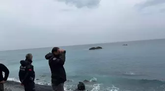 Hatay'da kayıp balıkçıyı arama çalışmaları 9 gündür devam ediyor