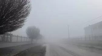 Iğdır'da sis, Kars ve Ardahan'da soğuk hava etkili oluyor