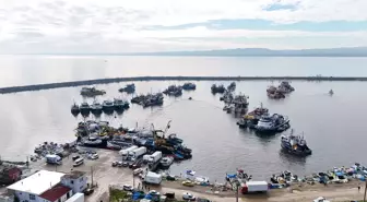 İğneada açıklarında hamsi bolluğu yaşanıyor