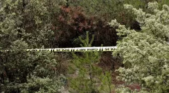 Karabük'te kayıp kişi ormanlık alanda ölü bulundu