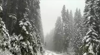 Karabük'ün yüksek kesimleri beyaza büründü
