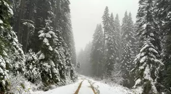 Karabük'ün yüksek kesimleri beyaza büründü