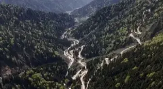 Karadeniz'de yağış değişimi alarmı; orman varlığı gençleştiriliyor