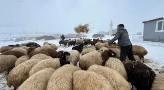 Kars'ta besicilerin zorlu kış mesaisi başladı