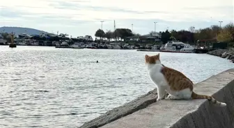 Kartal'da üşüten manzara: İki arkadaş soğukta denize girdi