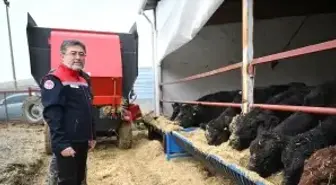 Kırmızı et üretimini artıracak Kırsalda Bereket, Hayvancılığa Destek Projesi meyvelerini vermeye başladı