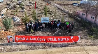 Mersinli şehit için oluşturulan hatıra ormanına yeni fidanlar dikildi