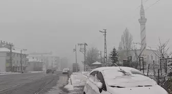 Muş'un Varto ilçesinde kar etkili oldu