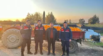 Nazilli'de 1,5 ton portakal çaldıkları öne sürülen 2 zanlı yakalandı
